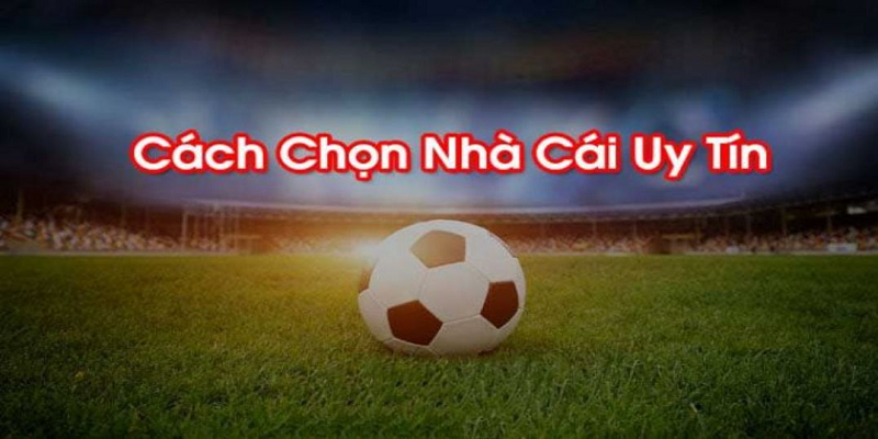 Dưới đây là top 10 nhà cái uy tín bạn không thể bỏ qua