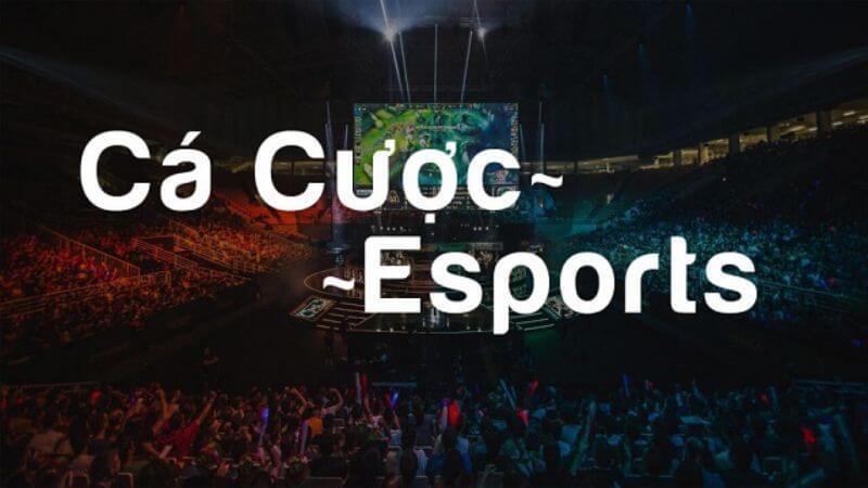 Cá cược Esport EE88 là trò chơi như thế nào