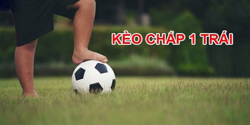 Phải luôn đọc kỹ tỷ lệ ăn bao nhiêu